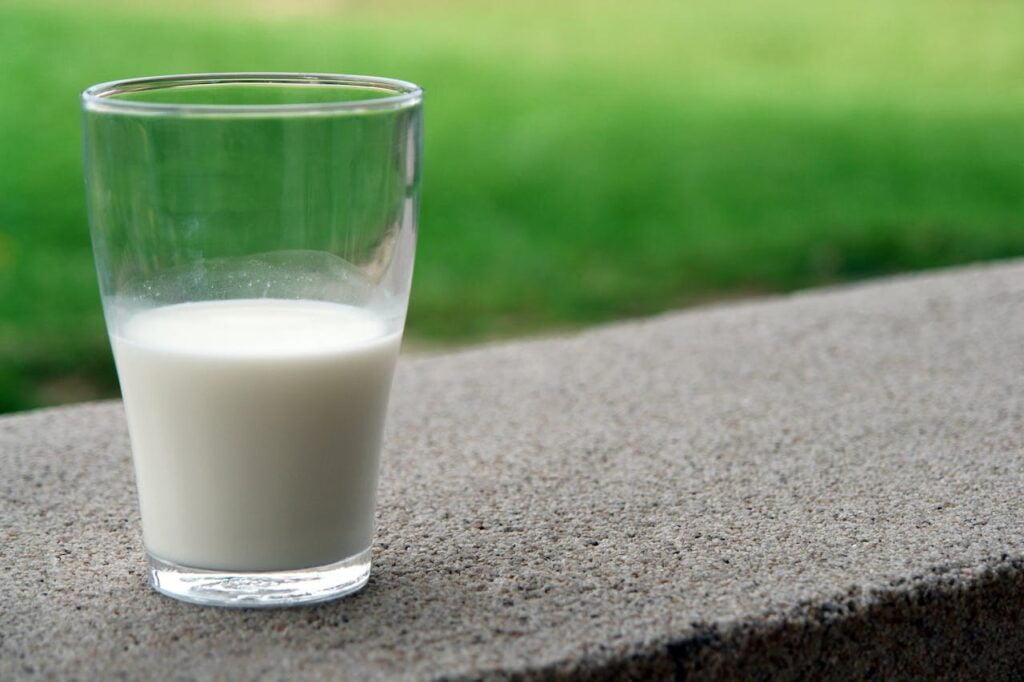 toned milk, Double toned milk, Toned milk meaning